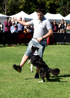 Pets in the Park  20 March 2016 Images by Bob Rendall